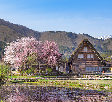 白川鄉合掌村